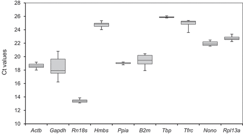 Figure 2. Distribution of cycle threshold (Ct) values of each candidate reference gene across all sample groups. A line within each box indicates the median Ct values, whereas the lower and upper boundaries of each box indicate the first and third quartiles of the data, respectively. Minimum and maximum values are indicated by the lower and upper ends of the whiskers, respectively.