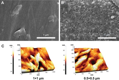 Figure 1 Scanning electron microscopy images of (A) PEEK and (B) PEKK and (C) AFM image of PEKK.Abbreviations: AFM, atomic force microscopy; PEEK, poly-ether-ether-ketone; PEKK, poly-ether-ketone-ketone.