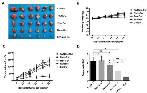 Figure 5 In vivo anti-tumor ability assessment of different treatments. The photograph of subcutaneous tumors from different treatment groups (A), the boy weight change curve of mice in different groups (B), the tumor growth curve of mice from different treatment groups (C) and the tumor weight of mice from different treatment groups (D) (*P<0.05, **P<0.01, ***P<0.001).