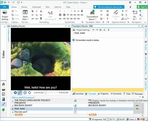 Figure 7. Subtitle file opened in SDL Trados Studio 2019 after installing the Studio Subtitling plugin