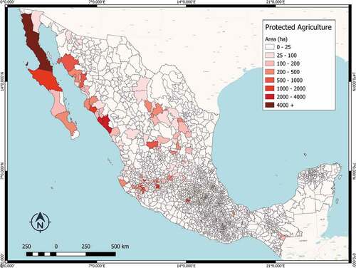 Figure 1. Protected agriculture in Mexico, number of hectares (ha) per municipality for the entire country. Own elaboration based on the data from SIAP (Citation2015)