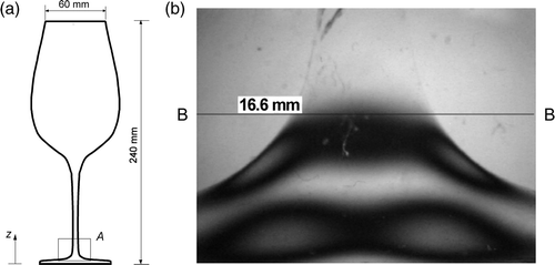 Figure 3. (a) Geometry of the wine glass and (b) and fringe pattern in the area A.