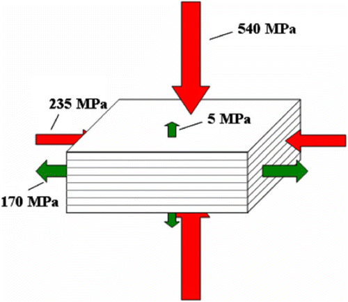 Figure 3 Strength of abalone nacre with respect to the loading direction. © [Elsevier]. Reproduced by permission of Meyers et al. (Citation2009). Permission to reuse must be obtained from Elsevier.