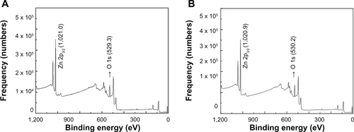 Figure S3 X-ray photoelectron spectra for pristine ZnO nanoparticles. (A) ZnOSM20 and (B) ZnOAE100.