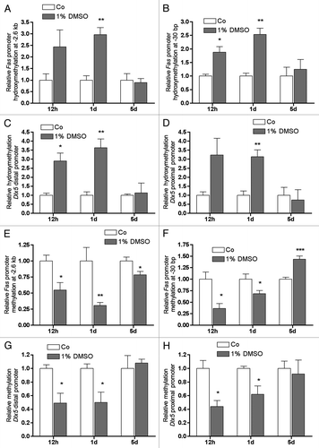 Figure 6. In Fas as well as in Dlx5 promoters CpG hydroxymethylation and methylation were affected by DMSO treatment. Specific CpG hydroxymethylation (A-D) and CpG methylation (E-H) were measured in selected promoter regions of Fas and Dlx5 after treatment with 1% DMSO for the given periods. Already after 12 h of treatment, a strong increase in 5-hmC status and a concomitant decrease in CpG methylation was seen in both genes in all promoter fragments analyzed (A-H). After 1 d, the increase of 5-hmC status became significant for all fragments analyzed (A-D). Compared with 12 h, CpG demethylation decreased further in the CpG island of the Fas promoter at -2.6 kb from transcriptional start (E), remained unchanged in the Dlx5 distal promoter fragment (G) and slightly diminished in the Fas CpG island at -30 bp from the transcriptional start (F) and in the Dlx5 proximal promoter (H). After 5 d, the Fas promoter region at -2.6 kb still showed a significantly decreased CpG demethylation after DMSO treatment (E). However, the Fas promoter region at -30 bp even showed a highly significant increase in CpG methylation. No changes in CpG methylation status were observed for both Dlx5 promoter fragments after 5 d of treatment. Results are represented as mean +/− SD *p < 0.05, **p < 0.01, ***p < 0.001, for all n = 3, all significances were calculated by Student t-test.