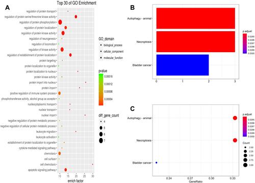 Figure 9 GO (A) analysis shows the biological processes, cellular components, and molecular functions involved in DEARGs. Bar plot (B) and dot plot (C) show KEGG pathway enrichment of DEARGs.