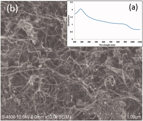 Figure 2. UV/VIS absorption spectrum of MWCNTs-COOH using a duplex atomic absorption spectrophotometer (a) and SEM image of MWCNTs-COOH particles (b).