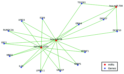 Figure 4. MiR-28, miR-151 and miR-708 target network. Only shared targets are depicted including 14 of 15 miR-28–5p targets, 11 of 14 miR-151a-5p targets, and 4 of 13 miR-708 targets. Green lines indicate miR regulation.