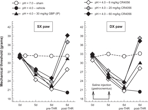 Figure 7 Antiallodynic effects of CR4056 in the acid-induced muscle allodynia model in rats (Dynamic Plantar Aesthesiometer; Ugo Basile, VA, Italy). Right gastrocnemius muscle was injected with acidic saline (pH = 4). Five days later (d5), the same gastrocnemius muscle was re-injected using an identical injection protocol. As a control for the injection procedure, a separate group of animals were injected with sterile saline. Six days after the first acidic saline injection, CR4056 was orally administered to rats two hours before testing. Gabapentin (GBP) (30 mg/kg; i.p.) was used as positive control.