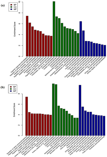 Figure 3 GO analysis of the differentially expressed circRNAs in the CSE group and control group. (a) GO analysis for the upregulated circRNAs; (b) GO analysis for the downregulated circRNAs.