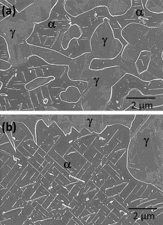 4 Images (SEM) of etched cross-sections of Fe–2 at-%Mn specimen nitrided at 650°C for 20 h using nitriding potential of 0·05 atm− 1/2. a intermediate region [austenite (γ) + ferrite (α) duplex microstructure]: platelet type and globular type precipitates are present in ferrite (α) matrix. b deepest nitrided region: high density of platelet type and globular type precipitates is present in ferrite matrix grains. In both a and b, austenite is free from precipitates