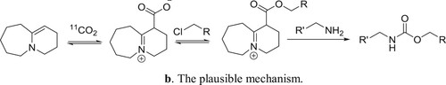 Scheme 79b. The plausible mechanism.