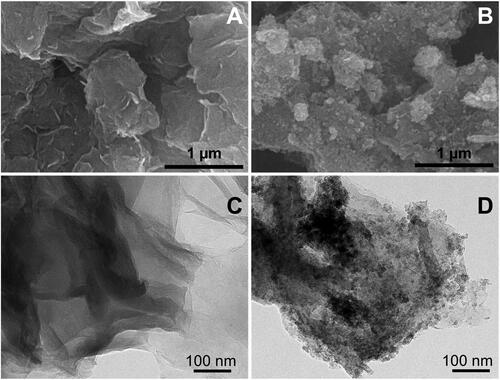 Figure 3. SEM images of (A) GO and (B) GO/Fe3O4 composites with 40,000x magnification, and TEM images of (C) GO and (D) GO/Fe3O4.