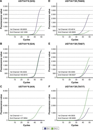 Figure 2 UGT1A1 gene polymorphisms in patients.