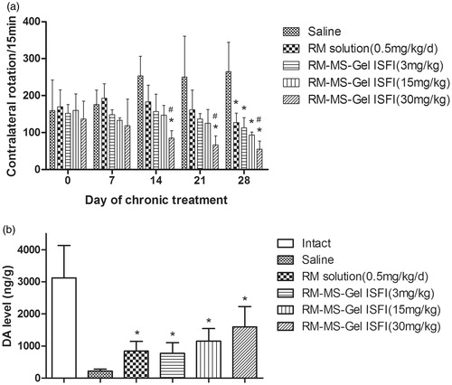 Figure 5. Effect of chronic treatment with RM–microsphere–Gel in situ forming implant on 6-hydroxydopamine-lesioned rats. (a) Rotational response to apomorphine expressed as number of contralateral rotations per 15 min in animals treated with saline and RM solution at 0.5 mg/kg/d (i.m.), and RM–microsphere–Gel in situ forming implant at a single-dose of 3, 15 and 30 mg/kg (i.m.). (b) Striatal DA level (ng/g wet weight of tissue) in intact side and lesioned side treated with saline, RM solution at 0.5 mg/kg/d, and RM–microsphere–Gel in situ forming implant at 3, 15 and 30 mg/kg after 28 days. Data shown are mean ± SD, (n = 5). *p < .05 for significant different from saline group and #p < .05 for significant different from RM solution group using one-way ANOVA followed by the Bonferroni test.