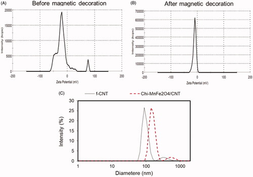 Figure 4. (A) Zeta potential analysis of the samples (B) before magnetic decoration, f-CNT and (C) after magnetic decoration, Chi-MnFe2O4/CNT. (E) Effect of magnetic decoration on the hydrodynamic diameter of the f-CNT.