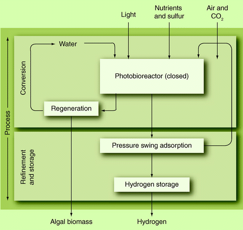 Figure 3.  Example process of biophotolysis for the production of hydrogen.