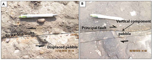 Figure 6. Displaced pebbles within strike-slip faults. (A) Sinistral lateral strike-slip faults with 2 cm of displacement. (B) Dextral strike-slip faults with a small vertical component.