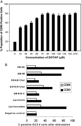 Figure 1.  DC2.4 cells activation by cationic liposome stimulation. (A) Expression of co-stimulatory molecule CD80 on DC2.4 cells after incubation with DOTAP of different concentration or with LPD (contains 75 µM of DOTAP). Experiments were performed in triplicates and the data reported as mean±SD (n=3). (B) Expression of co-stimulatory molecules, CD80 and CD86 on DC2.4 cells after stimulation with different cationic liposomes.