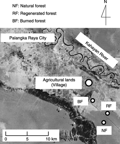 Figure 1  Locations of the study sites in Kalampangan, Central Kalimantan. “Agricultural lands” represent the grassland site (GL) and the croplands (CL) A, B and C.