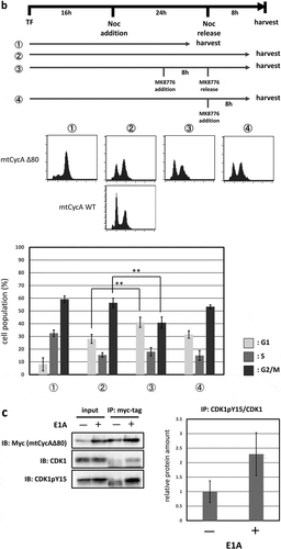 Figure 3. Continued.