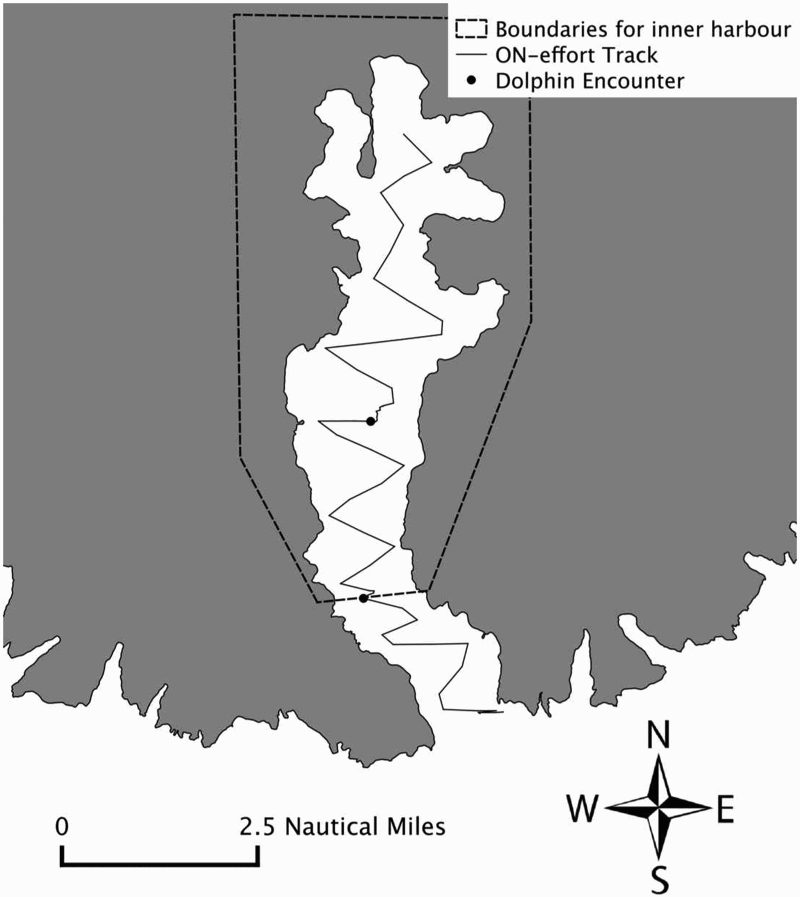 Figure 1. Example of a typical day of survey effort. Only dolphin sightings in the box inside Akaroa Harbour were used in this analysis.