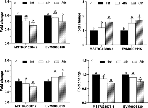 Figure 6. Validation of the differentially expressed mRNAs and lncRNAs by RT-qPCR. Four pairs of lncRNA-mRNAs among the 1st, 4th, and 8th subcultures of Conidiobolus obscurus were tested. Fold changes of relative expression levels (the 1st subculture as control) were calculated based on the analysis of real-time quantitative PCR. Error bars: SEM from three biological replicates. Different lowercase letters marked on the bars indicate significant differences (Fisher’s LSD, P < 0.05). The details of the specific primers used in this study are listed in Table S1