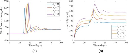 Figure 4. The impact of the protein intake (λη) on (a) the viral load and (b) total protein. (a) Simulations of the model (Equation1(1) dTdτ=rη−ρ(η)TV−dT,dTidτ=ρ(η)TV−δTi−ψ(η)TiZ,dVdτ=pTi−cV−μVηV,dZdτ=λzη+bTiZ−μzZ,dηdτ=λη−μηη+γηηV.(1) ) depicting the impact of the protein intake (λη) on the viral load. The other parameters used for the simulations are presented in Table 2. (b) Simulations of the model (Equation1(1) dTdτ=rη−ρ(η)TV−dT,dTidτ=ρ(η)TV−δTi−ψ(η)TiZ,dVdτ=pTi−cV−μVηV,dZdτ=λzη+bTiZ−μzZ,dηdτ=λη−μηη+γηηV.(1) ) depicting the impact of the protein intake (λη) on total protein. The other parameters used for the simulations are presented in Table 2.