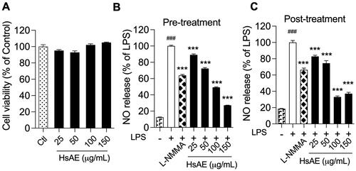 Figure 2. HsAE interacts with microglial cells without cytotoxicity and inhibits inflammation. BV-2 cells were pre- or post-treated with HsAE at concentrations of 25, 50, 100, and 150 µg/mL for 30 min and induced with lipopolysaccharide (LPS; 100 ng/mL) for 24 h. (A) Cytotoxic effect of HsAE on BV-2 cells. (B) Nitrite release upon HsAE pre-treatment. (C) Nitrite release upon HsAE post-treatment. All data are presented as the mean ± standard error of the mean (SEM) (n = 3). Statistical differences were analyzed using one-way analysis of variance (ANOVA) followed by Tukey statistical post hoc test. *p < 0.05, **p < 0.01, ***p < 0.001 vs. LPS-treated group, ###p < 0.001 vs. untreated control group.