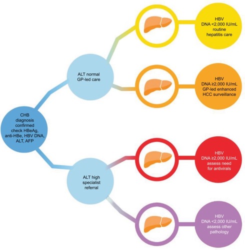 Figure 1 The chronic hepatitis B management protocol used by the B Positive disease Registry.