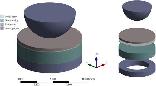 Figure 1. Schematic representation of the setup of the tri-layer biaxial flexural test method, with loading and support ring used for the experiment and FEA calculations.