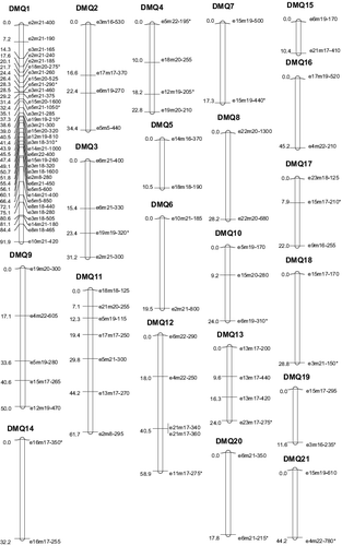 Figure 3. The genetic linkage map of ‘Damianqiu’.