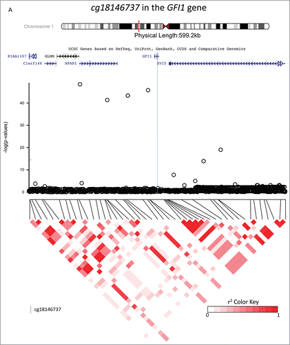Figure 2. Investigations of a ± 300 kb region around 3 CpG sites of interest (cg18146737, cg05575921, and cg12803068) for fine-mapping using imputed SNP data in 736 participants of the California Childhood Leukemia Study. The plots represent the P-values of the associations between DNA methylation at the CpG site of interest and genotype at the SNPs in the region. Canonical transcripts of the neighboring genes in the region are displayed based on the University of California, Santa Cruz Genome Browser data (hg19).Citation26 Linkage disequilibrium plots are represented below (r2 values) for SNPs that were genotyped on array. The blue line is located at the location of the CpG site of interest.