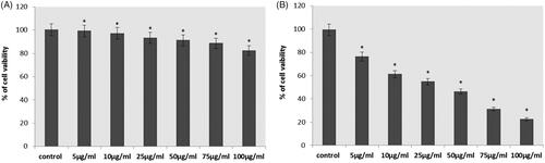 Figure 5. Cytotoxicity effect of gold nanoparticles synthesised from R. rubescens (RR-AuNP) against lung carcinoma cell line A549 and Human lung fibroblast cells MRC-5 cells treated with different doses of RRAuNP. (A) Human lung fibroblast cells MRC-5 cells; (B) lung carcinoma cell line A549. Each bar represents mean ± SEM of three independent observations. Significant at *p < .05.