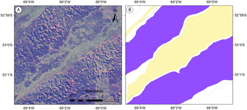 Figure 6. Kettle-kame topography on the northern edge of the BI-SSb lobe. (A) Landsat ETM+ (bands 4, 3, 1) showing the characteristic pock-marked appearance of the drift. (B) Mapped bands of drift (purple polygons), separated by outwash surfaces (yellow polygons). Location shown in Figure 3.