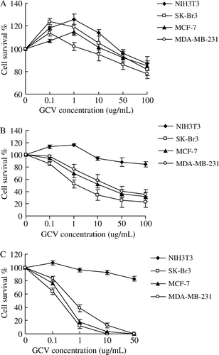 Figure 4.  Sensitivity of breast cancer cells and normal fibroblast cells treated with Ad-FAS-TK to various concentrations of GCV. Cell viability was determined using MTT assay. In general, the cytotoxic effect was enhanced with the increase of GCV concentration. A. As control, cells were treated with GCV without infection with adenovirus. B. Cells were infected with adenovirus at the MOI of 10. When the concentration of GCV exceeded 50 µg/ml, the cytotoxic effects reach a plateau. C. As the MOI of adenovirus reached 50, the cytotoxic effects were significant even treated with low concentration of GCV (1 µg/ml).