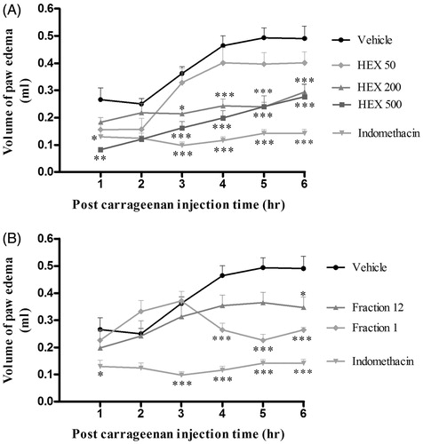 Figure 2. Effect of the HEX extract and its fractions from Hamelia patens on carrageenan-induced paw oedema. The oedema volume was measured in rats treated orally with: (A) vehicle, HEX-50, HEX-200 and HEX-500 (HEX extracts at 50, 200 and 500 mg/kg, respectively), indomethacin (7.5 mg/kg) and (B) fractions 1 and 12 obtained from the HEX extract. Values represent the mean ± SEM, n = 6, *p < 0.05, **p < 0.01, ***p < 0.001 significantly different compared with the vehicle control group (two-way ANOVA followed by Bonferroni’s post-test).