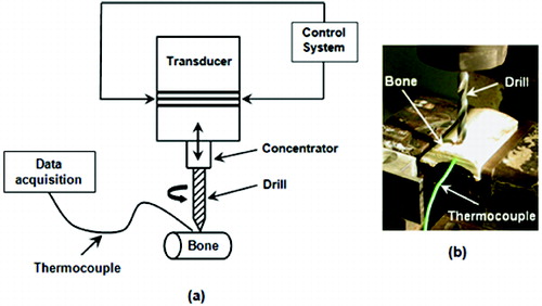 Figure 1. Experimental setup for temperature measurements in bone drilling: (a) UAD system, (b) thermocouple measurements.