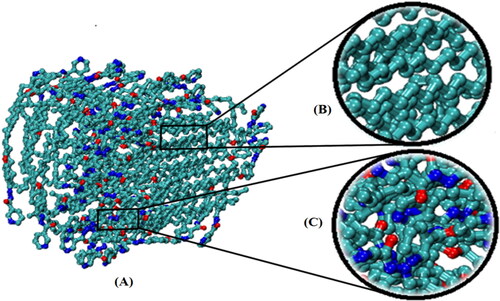 Figure 7. (A) A snapshot of a synthesized surfactant-based vesicle at 30 ns; (B) the center of the vesicle where non-polar tails are mixed up, and (C) the outer surface of the vesicle. The water molecules and hydrogen atoms are omitted for clarity.