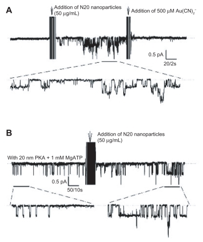 Figure 7 Patch clamp studies of the effects of N20 on single CFTR Cl− channel function. A) Silent CFTR Cl− channels were activated by N20 50 μg/mL and blocked by Au(CN)2 − 500 μM in excised, inside-out patches. B) Stimulation by N20 of CFTR Cl− channels preactivated with protein kinase A 20 nM and MgATP 1 mM in excised inside-out patches (n = 3, dashed lines indicate closed CFTR state).