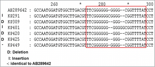 Figure 1. Alignment analysis of rmpA sequences. Multiple sequences are compared with the reference sequence of GenBank accession number AB289642, which defined plasmid pK2044 rmpA gene from the strain K. pneumoniae NTUH-K2044 (http://www.ncbi.nlm.nih.gov/nuccore/AB289642). The strains KP 309, 401, 420, and 425 represent isolates which were PCR-positive for rmpA and rmpA2 but negative for hypermucoviscosity phenotype. The strain KP291 represents isolates without hypermucoviscosity phenotype, which were PCR-positive for rmpA but PCR-negative for rmpA2. The strain KP449 represents isolates with hypermucoviscosity phenotype, which were PCR-positive for rmpA and rmpA2.