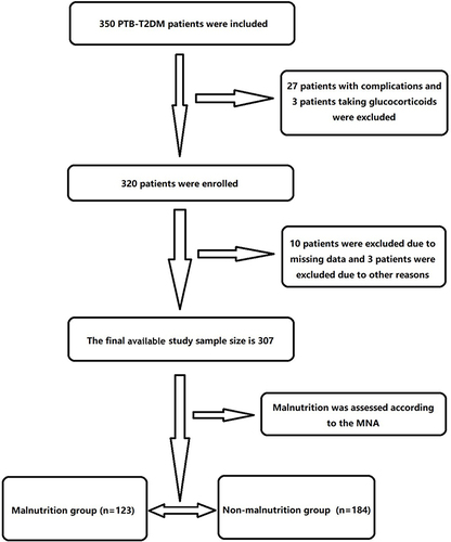 Figure 1 Flow chart of patient enrollment.