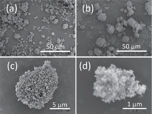 Figure 8. Scanning electron microscope (SEM) images of P25 TiO2: (a) the original powder, (b) the leftover on vibrating membrane after dry-dispersed for 15 h, (c, d) the typical agglomerates of dry-dispersed aerosol particles.