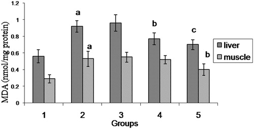 Figure 8. Effect of AME hepatic lipid peroxidation. 1: sedentary control, 2: exercise control, 3: 100 mg AME/kg b.wt, 4: 200 mg AME/kg b.wt and 5: 400 mg AME/kg b.wt. As compared with sedentary control: ap < 0.01. As compared with exercise control: bp < 0.05, cp < 0.01.
