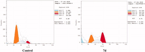Figure 6. Effect of compound 7d (1.74 μM) on DNA-ploidy flow cytometric analysis of OVCAR-4 cells after 24 h.