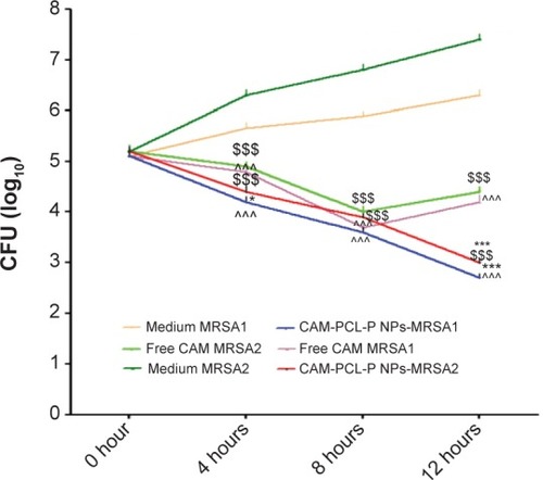 Figure 6 Time-kill assay of MRSA1 and MRSA2 incubated with media, free CAM, and CAM-PCL-P NPs.Notes: Surviving CFUs at selected time points are shown. *P≤0.05, comparison of free CAM MRSA1 with CAM-PCL-P NPs-MRSA1 at 4 hours. ***P≤0.001, comparison of free CAM MRSA1 with CAM-PCL-P NPs-MRSA1 and free CAM MRSA2 with CAM-PCL-P NPs-MRSA2 at 12 hours. ^^^P≤0.001, comparison of medium MRSA1 with free CAM MRSA1 and CAM-PCL-P NPs-MRSA1 at 4 hours, 8 hours, and 12 hours. $$$P≤0.001, comparison of medium MRSA2 with free CAM MRSA2 and CAM-PCL-P NPs-MRSA2 at 4 hours, 8 hours, and 12 hours.Abbreviations: CAM, chloramphenicol; CAM-PCL-P NPs, chloramphenicol loaded with poly(ε-caprolactone)-pluronic composite nanoparticles; CFU, colony-forming unit; MRSA, methicillin-resistant Staphylococcus aureus.