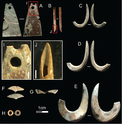 Figure 7 Shell and bone tools from HSE. A) Nautilus pendant with thick red ochre residue from Square B Spit 12; B) bone point from Square B Spit 17; C–D) Tectus fishhooks from Square B Spit 13; E) Tectus fishhook from Square B Spit 10; F–G) fragments of Nautilus two-holed beads from Square A Spit 7; H) Nautilus disc bead from Square A Spit 1 I) Detail of perforations on Nautilus pendant, scale bar = 1 mm; J) working tip on bone tool, scale bar = 1 mm (Photos MCL).
