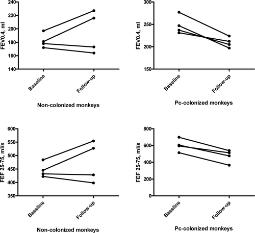 Figure 3 Change in forced expiratory volumes and forced expiratory flow values for non-colonized monkeys from baseline (uninfected) to follow-up (SHIV-infected, Pneumocystis-negative) and for Pneumocystis-colonized monkeys from baseline (uninfected) to follow-up (SHIV-infected, Pneumocystis-colonized). Average follow-up of 8 months. * p = 0.02 for comparison of change in FEV0.4 and FEF25 − 75 in non-colonized versus Pneumocystis-colonized. Abbreviations: FEV0.4, forced expiratory volume during first 0.4 seconds; FEF25 − 75, forced expiratory flow over mid 50% of forced vital capacity; Pc, Pneumocystis.