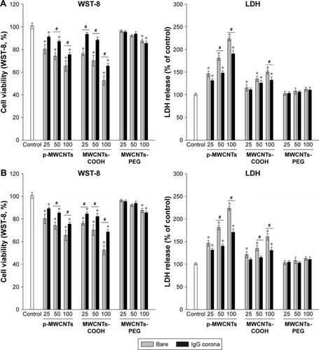 Figure 4 Cytotoxicity in RAW264.7 cells exposed to three types of MWCNTs with or without BSA (A) and IgG (B) coronas.Notes: Assessment of cytotoxicity of MWCNTs with WST-8 and LDH assays. After exposure to 25, 50, and 100 µg/mL of each of the MWCNT suspensions for 24 hours, RAW264.7 cells were incubated with the WST-8 reagent for 1 hour, and the absorbance was measured at 490 nm. All the WST-8 values were normalized according to the control (no MWCNT exposure), which was regarded as the 100% cell viability reference point. Similar to the treatment, cell supernatants from control and exposure experiments were collected and assayed for LDH activity as described in the Materials and methods section. Data are representative of three separate experiments with at least three wells per treatment. All the WST-8 and LDH values were normalized according to the nontreated control, which was regarded as representing 100% cell viability. *P<0.05 compared to control cells, #P<0.05 compared to the same types of MWCNTs without protein corona. (C) Morphology of RAW264.7 cells treated with three types of MWCNTs (25 µg/mL) in FBS free and complete medium for 6 hours. The asterisks indicate MWCNTs agglomerates to adhere to cell walls and shrinkage of the cell membrane. The scale bar is 50 µm.Abbreviations: IgG, immunoglobulin G; LDH, lactate dehydrogenase; MWCNTs, multiwalled carbon nanotubes; MWCNTs-COOH; carboxylated MWCNTs; MWCNTs-PEG, polyethylene glycol MWCNTs.