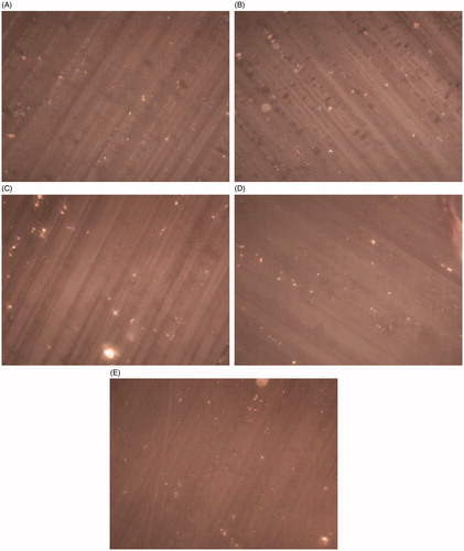Figure 7. Polarized microscopic image(40×) of ethylcellulose film containing (A) 10% divalproex sodium of ethylcellulose by weight, (B) 20% divalproex sodium of ethylcellulose by weight, (C) 30% divalproex sodium of ethylcellulose by weight, (D) 40% divalproex sodium of ethylcellulose by weight, (E) 50% divalproex sodium of ethylcellulose by weight.